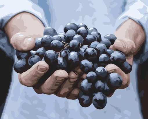 Grapes in The Hand paint by numbers