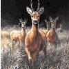 Grassland Deers paint by numbers