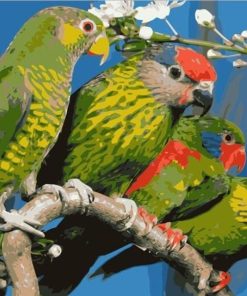 Green Parrots paint by numbers