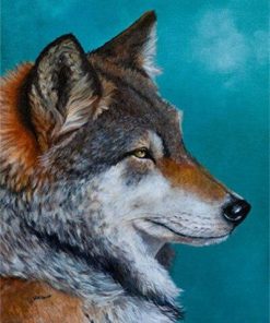 Northern Wolf paint by numbers