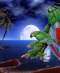 Parrots On Beach Palm paint by numbers