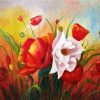 Poppies In Garden paint by numbers