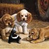 Puppies paint by numbers