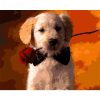 Puppy Holding a Rose paint by numbers