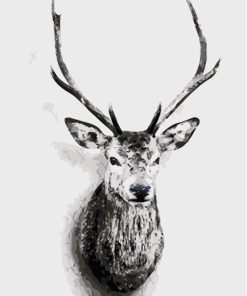 Deer Animals - DIY Paint By Numbers - Numeral Paint