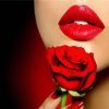 Red Rose Lips paint by numbers
