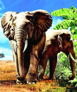 Safari Elephants paint by numbers