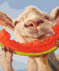 Sheep Eating Watermelon paint by numbers