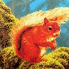 Squirrel paint by numbers