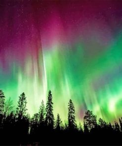 Aurora Borealis Trees Silhouette paint by numbers