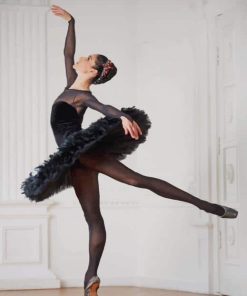 Ballerina With Black Dress paint by numbers