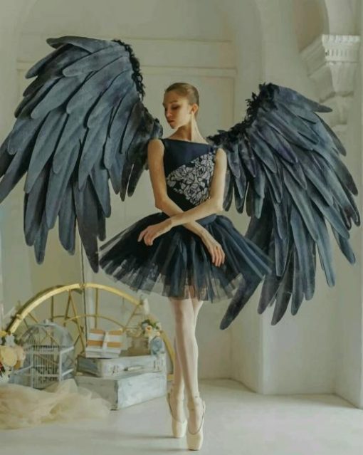 Ballerina With Wings paint by numbers