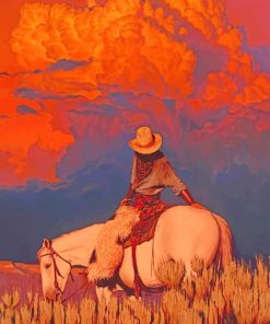 Cowboy paint by numbers