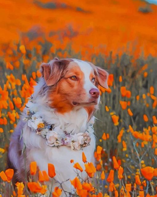 Dog In Flowers Field paint by numbers