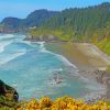 Florence Oregon Beach paint by number