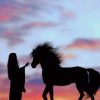 Girl With Horse Silhouette paint by number