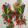 Illustration Butterfly Art paint by numbers