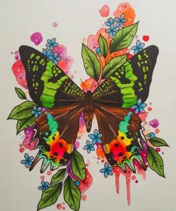 Illustration Butterfly Art paint by numbers