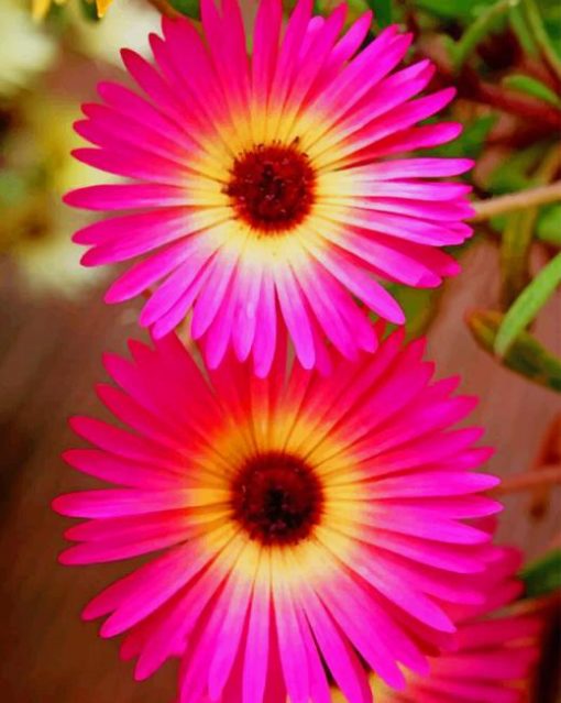 Pink Daisies paint by numbers