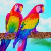 Rainbow Parrots paint by numbers