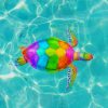 Rainbow Sea Turtle paint by numbers