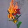 Rose On Fire paint by numbers