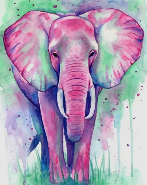 Watercolor Elephant paint by number