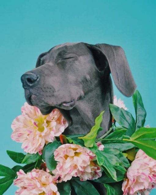 Great Dane With Flowers Crown paint by numbers