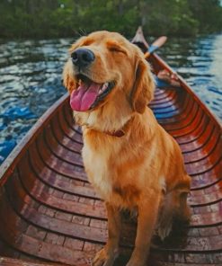 Happy Puppy On A Boat Paint by numbers