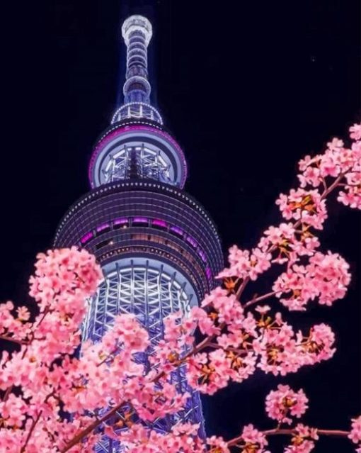 Night Tokyo Skytree Sakura paint by numbers