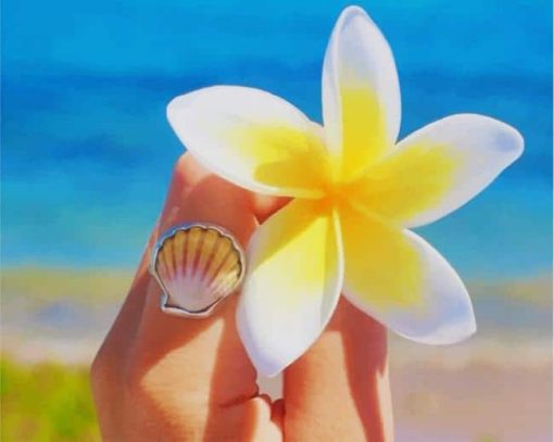 White And Yellow Frangipani Flower paint by nu