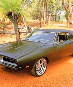 1969 Dodge Charger Matte Black pain by numbers