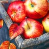 Apples Fruit paint by numbers