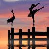 Ballerina And Bird Silhouette paint by numbers