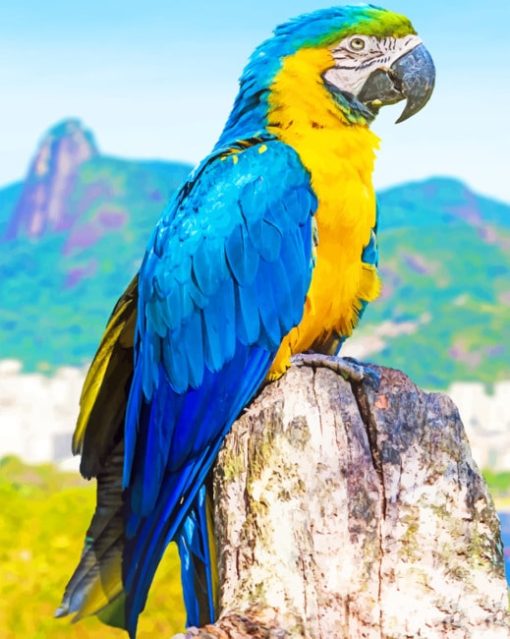 Blue And Yellow Parrot paint by numbers