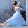 Classic Ballerina paint by numbers