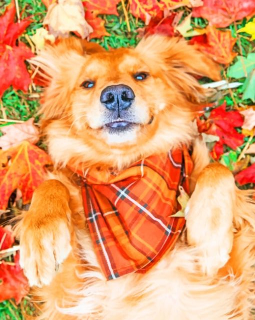Fall Dog paint by numbers