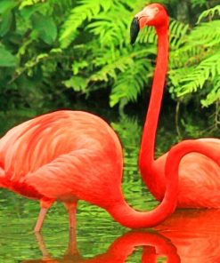 Flamingos Bird paint by numbers