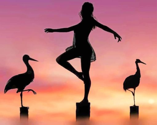 Girl And Birds Silhouette paint by numbers