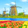 Kinderdijk Netherlands Windmills paint by numbers