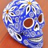 Mexican Painted Skull paint by numbers