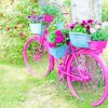 Pink Bicycle Decor paint by numbers
