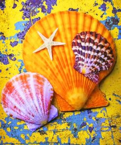 Sea Shells paint by numbers
