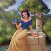 Snow White paint by numbers
