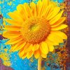 Sunflower Blossom paint by numbers