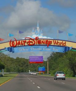 Walt Disney World Road Paint by numbers