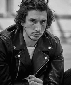 Adam Douglas Driver paint by numbers