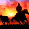Aesthetic Cowboy Silhouette Paint by numbers