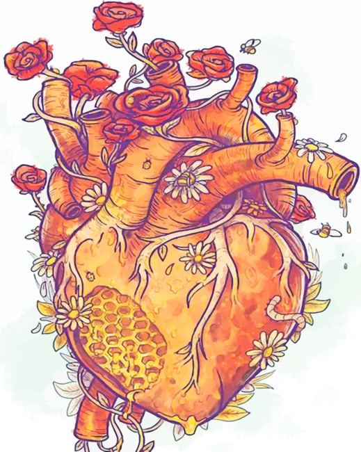 Anatomical Heart Bee Honey paint by numbers