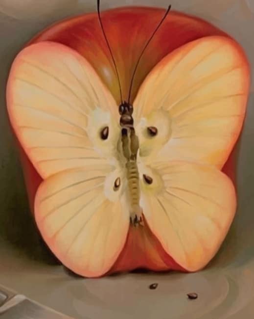 Apple Butterfly Paint by numbers